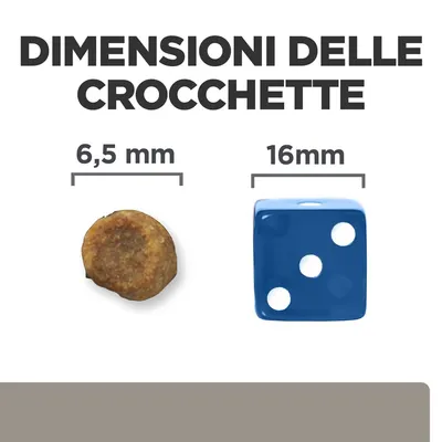 Dimensioni delle crocchette: diametro 6,5 mm a confronto con un dado blu da 16 mm. Testo visibile: 'DIMENSIONI DELLE CROCCHETTE', '6,5 mm', '16 mm'.