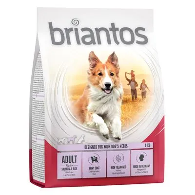 Briantos Adult Zalm & Rijst Hondenvoer - Dubbelpak: 2 x 14 kg