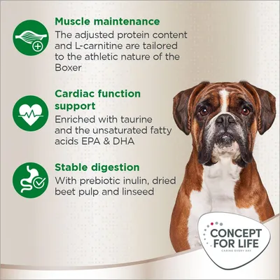 Concept for Life Boxer Adult - 12 kg