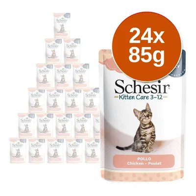 Schesir Kitten Care 3–12, Pollo Chicken Poulet, 24x85g csomagolású alutasakos macskaeledel kölyökmacskáknak, cicás illusztrációval a csomagoláson.