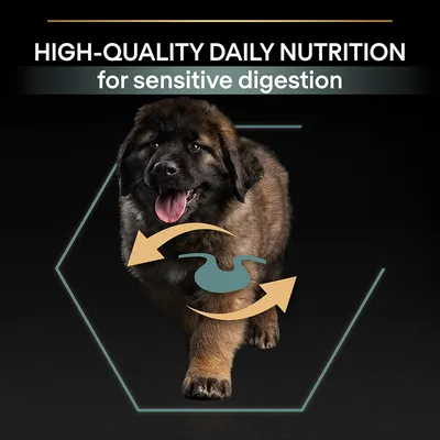 HIGH-QUALITY DAILY NUTRITION for sensitive digestion -teksti, koiran kuva ja vatsan symboli nuolineen. Teksti englanniksi.