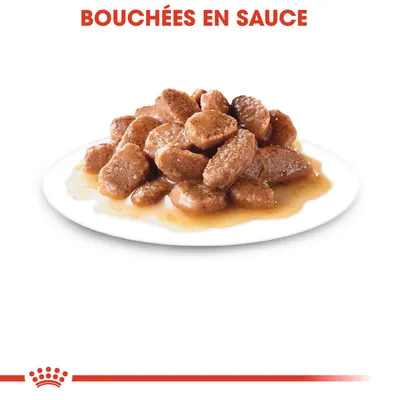 Assiette de bouchées en sauce, texte visible : BOUCHÉES EN SAUCE. Logo Royal Canin en bas de l’image.