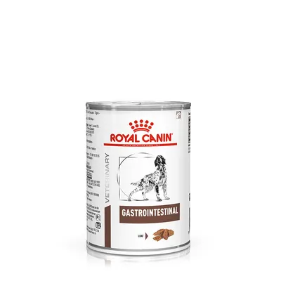 Konzerva Royal Canin Veterinary Gastrointestinal, obrázek psa, text GASTROINTESTINAL, LOAF, ilustrace krmiva na etiketě.