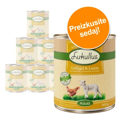 Lukullus Geflügel & Lamm Adult, 800 g konzerva. Besedilo na oranžnem krogu: Preizkusite sedaj! Na embalaži slika piščanca in jagnjeta. Paket več pločevink.
