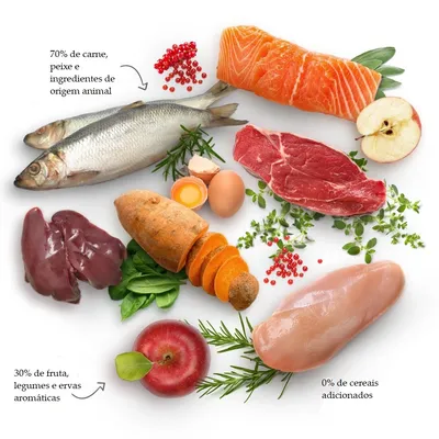 Ingredientes visíveis: peixe, salmão, carne de vaca, peito de frango, fígado, ovo, batata-doce, maçã, espinafres, ervas. Texto: 70% carne/peixe, 30% fruta/legumes, 0% cereais adicionados.