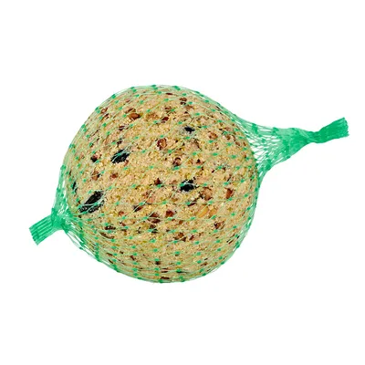 Boule de graines pour oiseaux dans un filet vert, mélange visible de graines et matières grasses compactées.