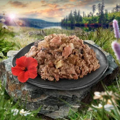 Primo piano di cibo umido su un piatto nero, circondato da paesaggio naturale con fiore rosso e bosco sullo sfondo.