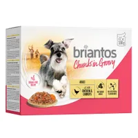 Briantos Chunks in Gravy 12 x 100 g - Huhn & Karotten