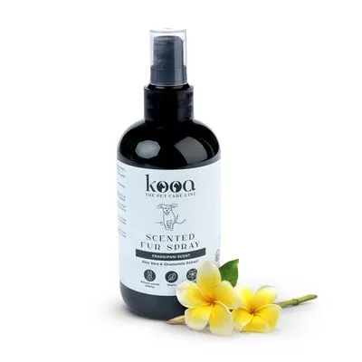Frasco de spray kooa Scented Fur Spray, Frangipani Scent, com extrato de aloé vera e camomila. Rótulo visível em inglês. Duas flores amarelas ao lado do frasco.