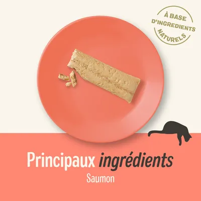 Principaux ingrédients : saumon. À base d'ingrédients naturels.