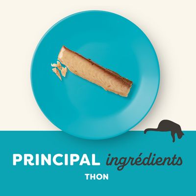 PRINCIPAL ingrédients THON, texte en bas de l’image avec un morceau de thon sur une assiette bleue et silhouette de chat visible.