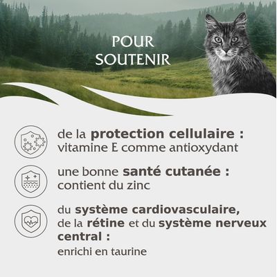 Pour soutenir : protection cellulaire (vitamine E), santé cutanée (zinc), système cardiovasculaire, rétine et système nerveux central (taurine).