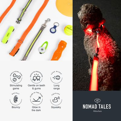 Nomad Tales Bloom Glow-in-the-Dark Ball
