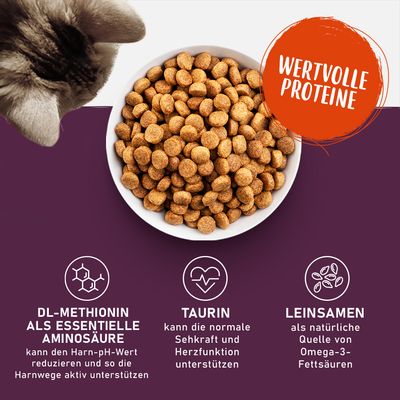 Croquettes dans un bol, chat vu de dessus. Texte en allemand : 'Wertvolle Proteine', DL-Methionin, Taurin, Leinsamen, avec descriptions des bienfaits et sources d’oméga-3.