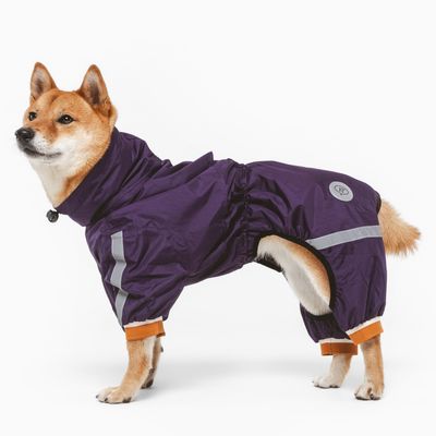 Hund in einem lila Regenanzug mit reflektierenden Streifen und orangefarbenen Bündchen. Logo 'AT' sichtbar auf der Seite.