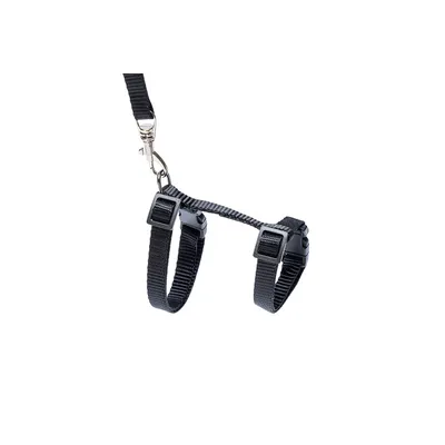 Karlie macskahám készlet kiscicáknak