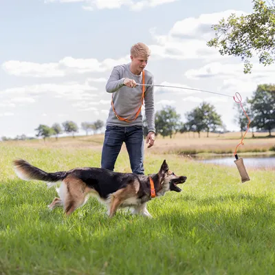 Person leger med stor hund udendørs ved hjælp af en lang pind med fastgjort træningsdummy. Hund bærer orange halsbånd og løber på græsplæne.