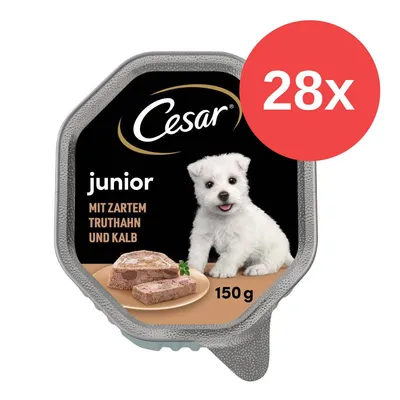 Cesar junior Nassfutter mit zartem Truthahn und Kalb, 150 g. Packung zeigt 28x Multipack. Cesar junior Nassfutter mit zartem Truthahn und Kalb, 150 g. Packung zeigt 28x Multipack.