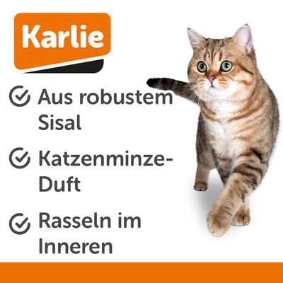 Karlie Sisal Spielball & Kratzkugel mit Feder und Rassel