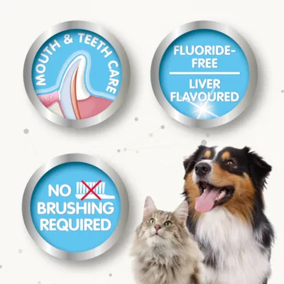 Texto en inglés: Mouth & Teeth Care, Fluoride-Free Liver Flavoured, No Brushing Required. Imagen de un perro y un gato junto a iconos dentales.