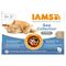 IAMS Advanced Nutrition Adult Sea Mix Sparpaket: in Sauce (24 x 85 g)