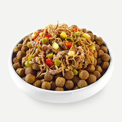 Skleda z rjavimi briketi suhe hrane, okrašena s svežimi sestavinami, kot so mesni trakovi, paprika, zelene fižolove stroke in koščki krompirja.