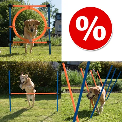 Hundesport-Set mit Sprungring, Hürden und Slalomstangen. Rabatt-Symbol in Rot mit Prozentzeichen.