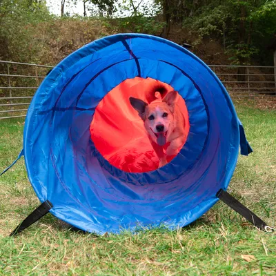 Blauer Spieltunnel aus Stoff mit roten Innenwänden, auf einer Wiese platziert. Tunnel hat zwei schwarze Befestigungsgurte an den Seiten.