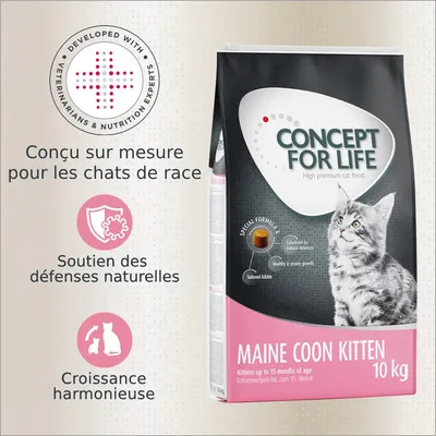 Sac Concept for Life Maine Coon Kitten 10 kg, conçu pour chats de race, soutien des défenses naturelles, croissance harmonieuse. Texte en anglais : High premium cat food, Kittens up to 15 months. Sac Concept for Life Maine Coon Kitten 10 kg, conçu pour chats de race, soutien des défenses naturelles, croissance harmonieuse. Texte en anglais : High premium cat food, Kittens up to 15 months.
