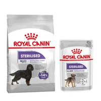 Royal Canin Care Maxi Nutrition pienso + comida húmeda: ¡15 % de descuento! - Maxi Sterilised (12 kg) + Sterilised Mousse (12 x 85 g)