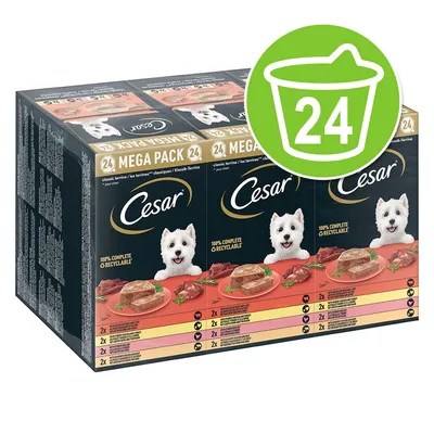 Pachet Cesar Mega Pack 24, hrană umedă pentru câini, 100% complete & recyclable, imagine cu mai multe sortimente prezentate pe ambalaj. Simbol verde cu cifra 24. Pachet Cesar Mega Pack 24, hrană umedă pentru câini, 100% complete & recyclable, imagine cu mai multe sortimente prezentate pe ambalaj. Simbol verde cu cifra 24.