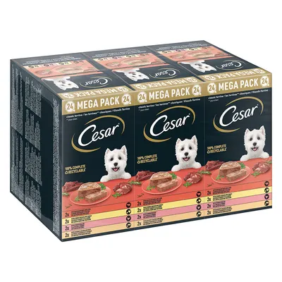 Cesar Mega Pack 24 terrine per cani, confezione nera e oro con immagini di terrine su piatto rosso, testo: 100% complete & recyclable.