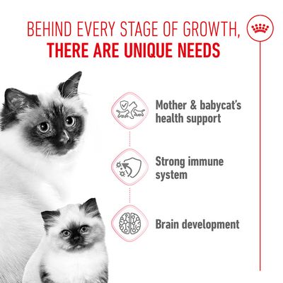 Growth phases require individual needs: support for the health of mother and kitten, strong immune system, brain development.