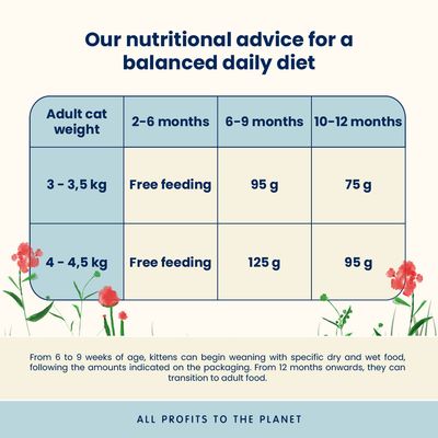 Almo Nature Functional Cat Kitten Chicken & Rice