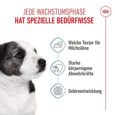 Royal Canin Mini Puppy in Soße - 12 x 85 g