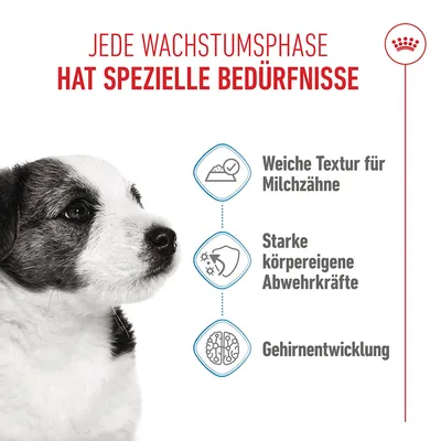 Royal Canin Mini Puppy in Soße - 12 x 85 g