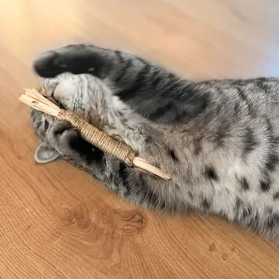 Grå katt leker med en leksak av trä och jute på ett trägolv.