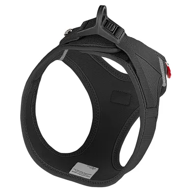 Harnais noir en tissu avec boucle de fermeture, étiquette visible à l’intérieur portant l’adresse www.mycurli.com et informations sur la taille. Boucle d’attache en plastique sur le dessus.