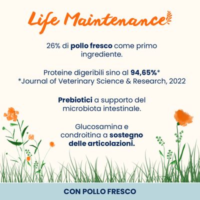 Life Maintenance: 26% pollo fresco come ingrediente principale, proteine fino al 94,65% digeribili, prebiotici per la flora intestinale, glucosammina e condroitina per il sostegno delle articolazioni.