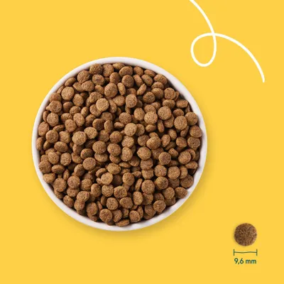 Schale mit braunen Trockenfutter-Pellets, daneben ein einzelnes Pellet mit Maßangabe 9,6 mm Durchmesser.