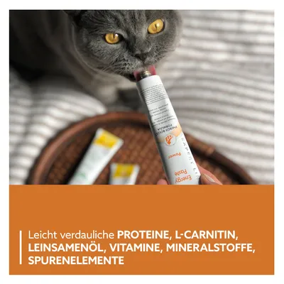 Katze leckt Energy Paste aus Tube. Text: Leicht verdauliche Proteine, L-Carnitin, Leinamenöl, Vitamine, Mineralstoffe, Spurenelemente.