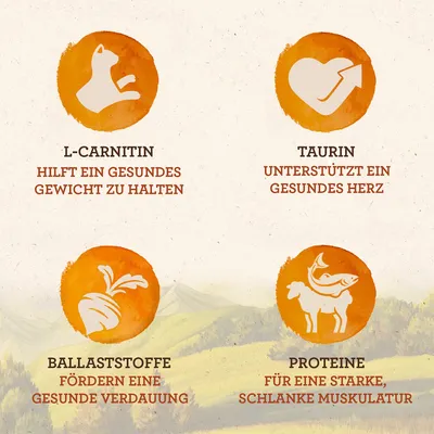 Texte en allemand : L-Carnitin aide à maintenir un poids sain, Taurin soutient un cœur sain, Ballaststoffe favorisent une digestion saine, Protéine pour des muscles forts et minces.