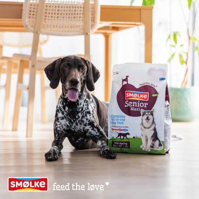 Hond naast Smølke Senior Maxi hondenvoer, opschrift: Complete all-in-one hondenvoeding, uniek eiwitprofiel, vitaal ouder worden. Smølke logo en slogan feed the love.