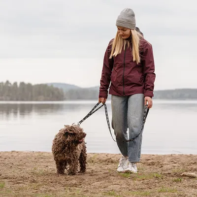 Person führt einen braunen Hund an einer Leine am See entlang. Hundeleine mit schwarzem Design sichtbar.