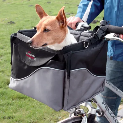 Hund i svart och grå Friends-cykelkorg av tyg monterad på styret, person i blå jacka håller cykeln utomhus.