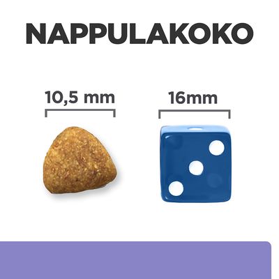Nappulakoko: koiranruokanappula 10,5 mm ja sininen noppa 16 mm rinnakkain vertailun vuoksi. Teksti 'NAPPULAKOKO' yläreunassa.