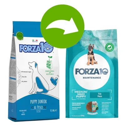 Dva pytle krmiva Forza10: vlevo Puppy Junior Al Pesce Fish 12,5 kg, vpravo Maintenance Medium/Maxi Puppy Fish Pesce 12 kg. Zelená šipka mezi obaly. Dva pytle krmiva Forza10: vlevo Puppy Junior Al Pesce Fish 12,5 kg, vpravo Maintenance Medium/Maxi Puppy Fish Pesce 12 kg. Zelená šipka mezi obaly.