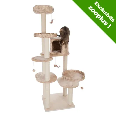 Arbre à chat beige avec paniers en osier, griffoirs, jouets suspendus et niche. Chat visible sur la niche. Bandeau vert : Exclusivité zooplus !