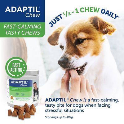 Adaptil Chew fast-calming chews for dogs, recommended dose is half to one chew daily. Fast acting, helps in stressful situations. For dogs up to 30kg.