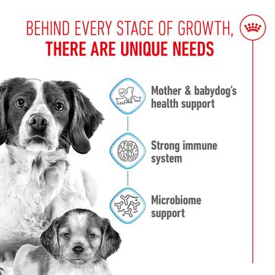 Graphic with text: Mother & babydog's health support, Strong immune system, Microbiome support. Two dogs depicted.